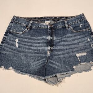 Aerie Distressed Denim Shorts XL